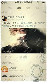 卓伟爆料打码视频,神秘打码视频引发热议，真相究竟如何？